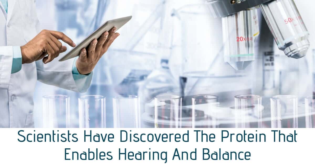 Scientists Have Discovered The Protein That Enables Hearing And Balance