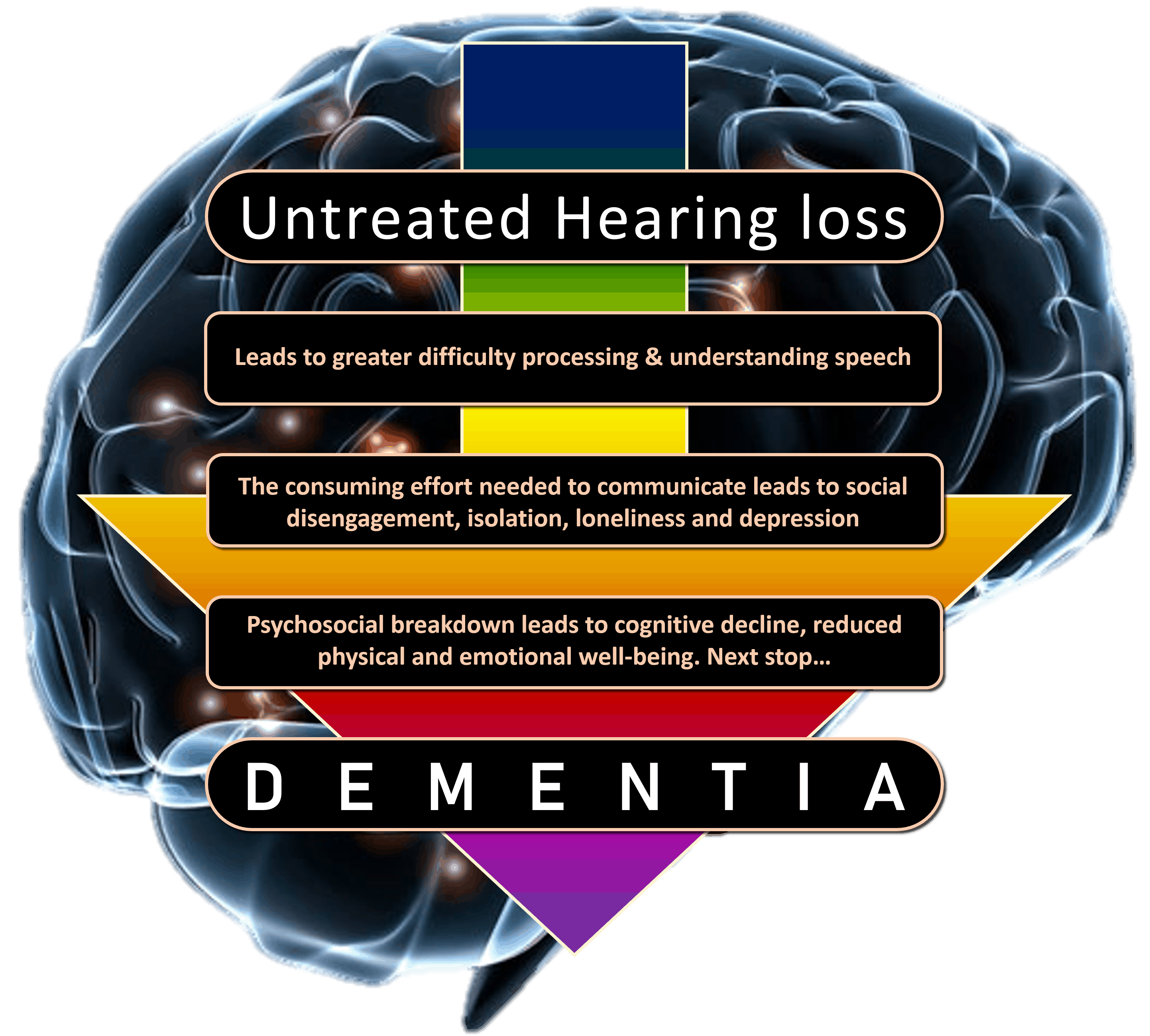 Comorbidities of Hearing Loss | Pacific Northwest Audiology