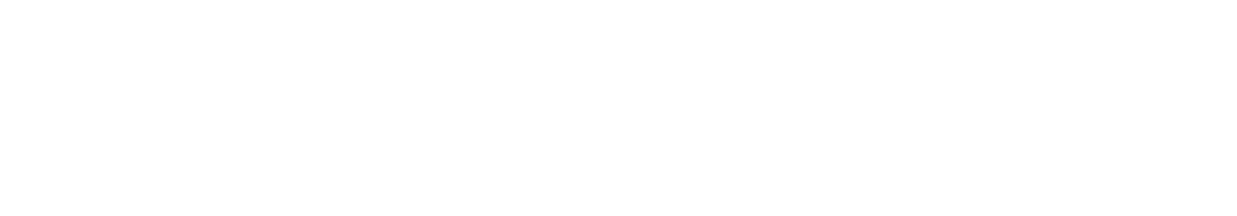 lenire logo